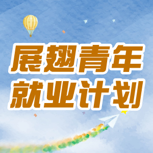 展翅青年就业计划